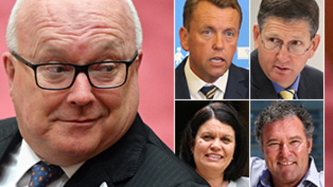 Some high-profile contenders are lining up for the senate vacancy left by George Brandis.