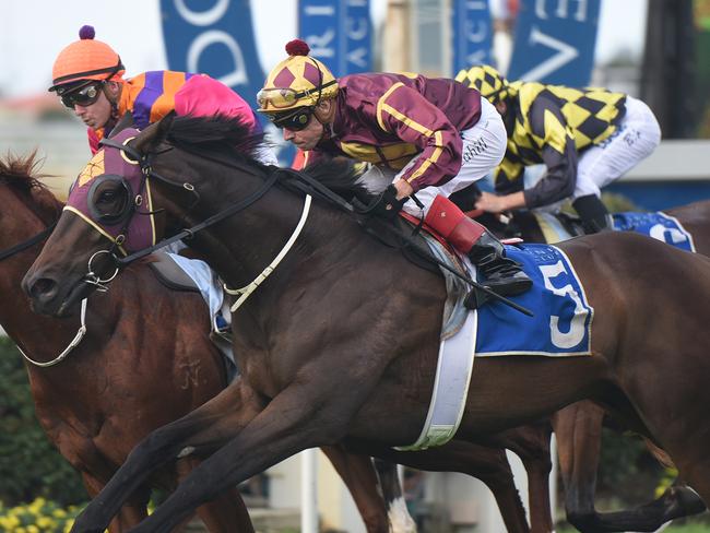 Cylinder Beach edges out stablemate Too Good To Refuse in the Gunsynd Classic at Doomben. Picture: Grant Peters, Trackside Photography