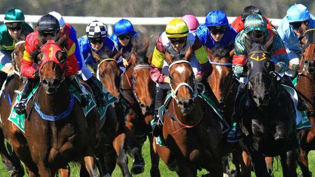 Loving home ridden by Tye Angland  (yellow cap, maroon with yellow armbands) wins race 1 during Scone  Races located in the Upper Hunter Region of NSW. The Bend . Pic Jenny Evans
