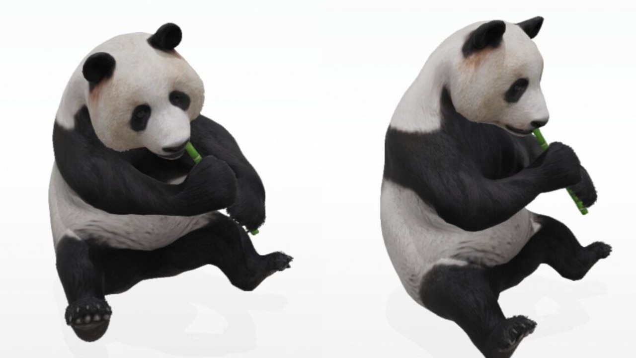Google 3D animals: How to use | Gold Coast Bulletin