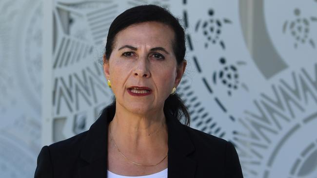 ‘Why are we even contemplating saddling our neighbours with even more debt?’ … Liberal former minister for the Pacific Concetta Fierravanti-Wells.