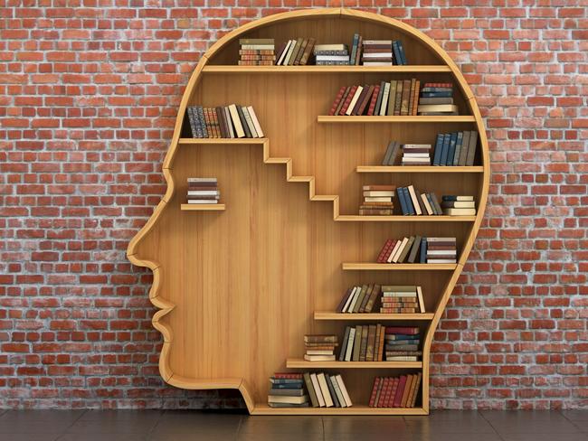 Concept of training. Wooden bookshelf full of books in form of man head on a bricks background. Science about human. Psychology. A human have more knowledge.