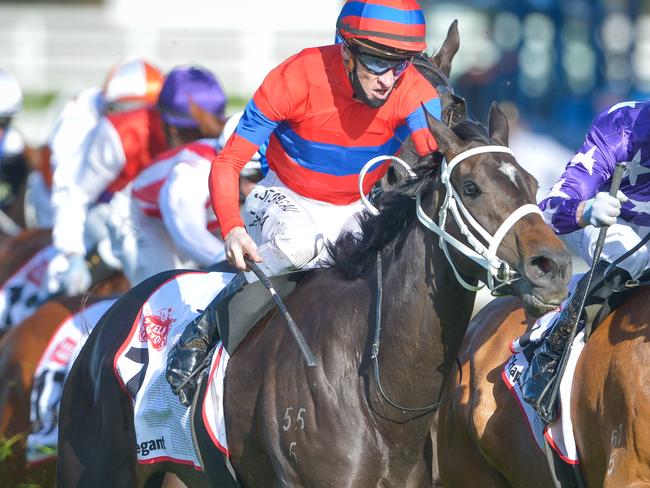 Very Elleegant ridden by Mark Zahra wins theStella Artois Caulfield Cup on Caulfield Cup Day at Caulfield Racecourse on October 17, 2020 in Caulfield, Australia. (Reg Ryan/Racing Photos via Getty Images)