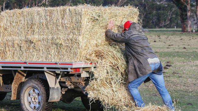 Rural Australians are right to be angry about missing out on services that city dwellers take for granted and that inequality must end, writes Katie Bice. Picture: Ian Currie