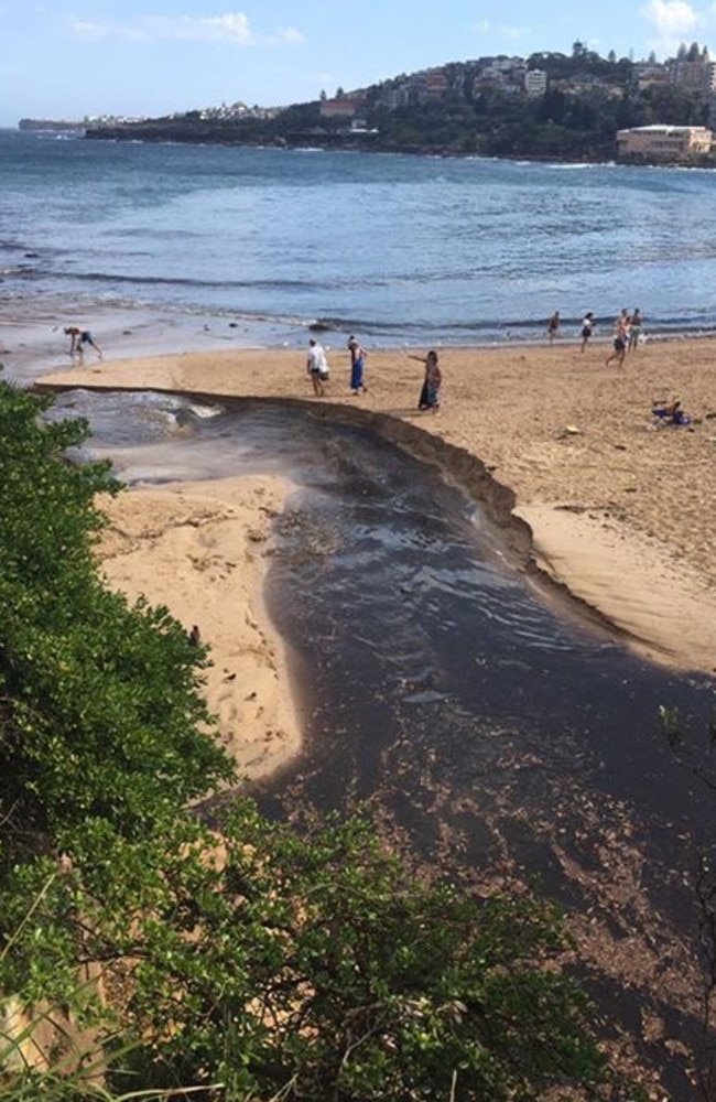 Wastewater flowing into Coogee beach last week. Picture: Supplied