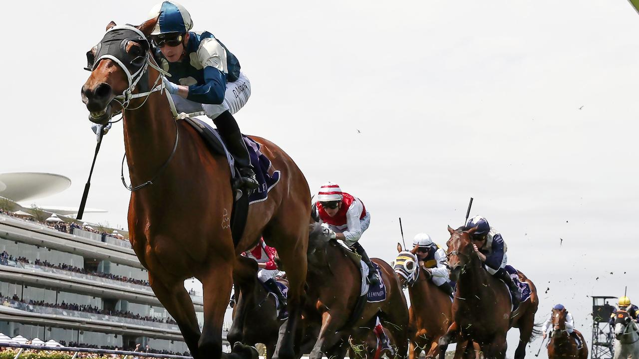 Co-trainer Trent Busuttin rated Muramasa as a top five chance in next Tuesday’s Melbourne Cup. Picture: Michael Klein