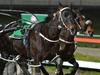 Brothers’ licences suspended more than a year after racing review