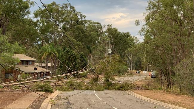 Trees brought powerlines down in Mt Crosby.