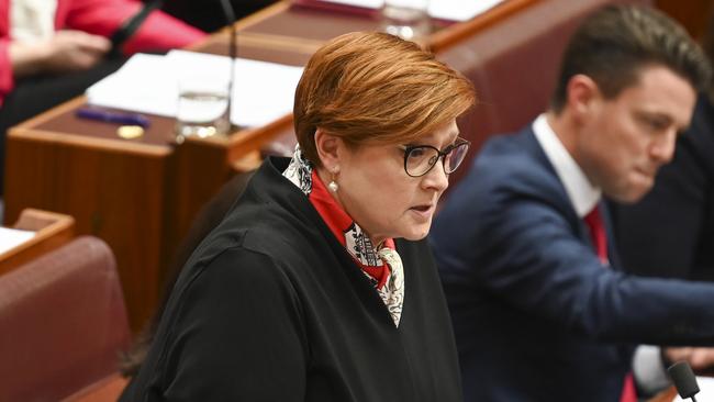 Senator Marise Payne NCA NewsWire / Martin Ollman