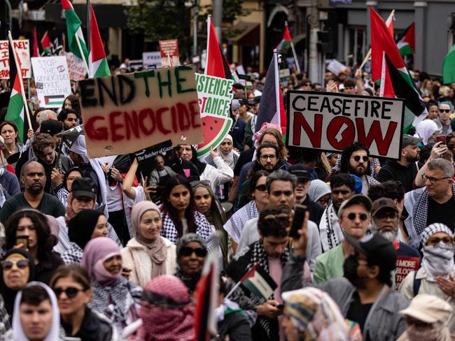 Pro-Palestine supporters gather in front of Parliament House during a Free Palestine Rally. Picture: Diego Fedele