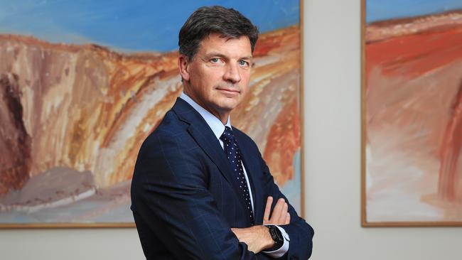 Angus Taylor says ‘brokering international partnerships is a key part of the government’s plan. Picture: John Feder