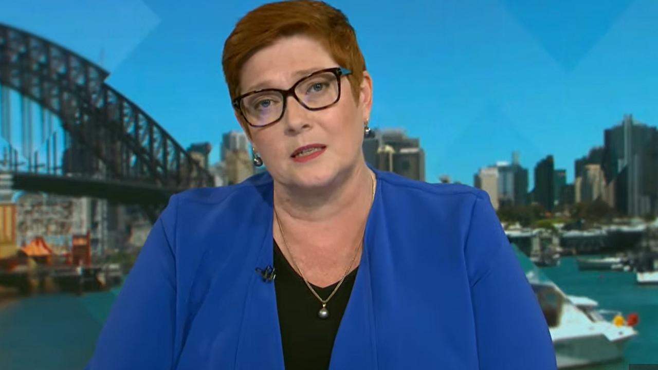 Australian Liberal Senator Marise Payne appears on ABC's Insiders with David Speers. Picture: ABC