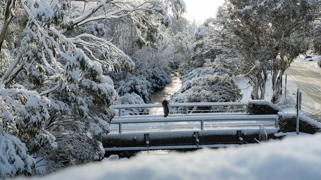 Snow at Thredbo over the weekend. Picture: Supplied