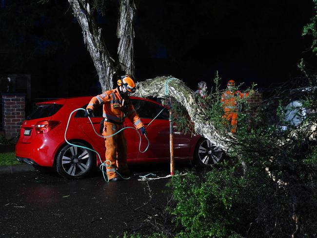 A tree branch landed on a car in Hawthorn on Sunday. Picture: Josie Hayden