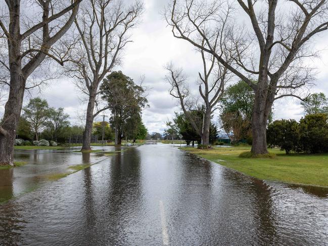 Flooding around the Macalister River in the township of Tinamba. Picture: Jason Edwards