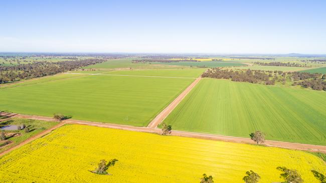 Nuveen Natural Capital’s Sunshine Farms near Forbes in NSW.