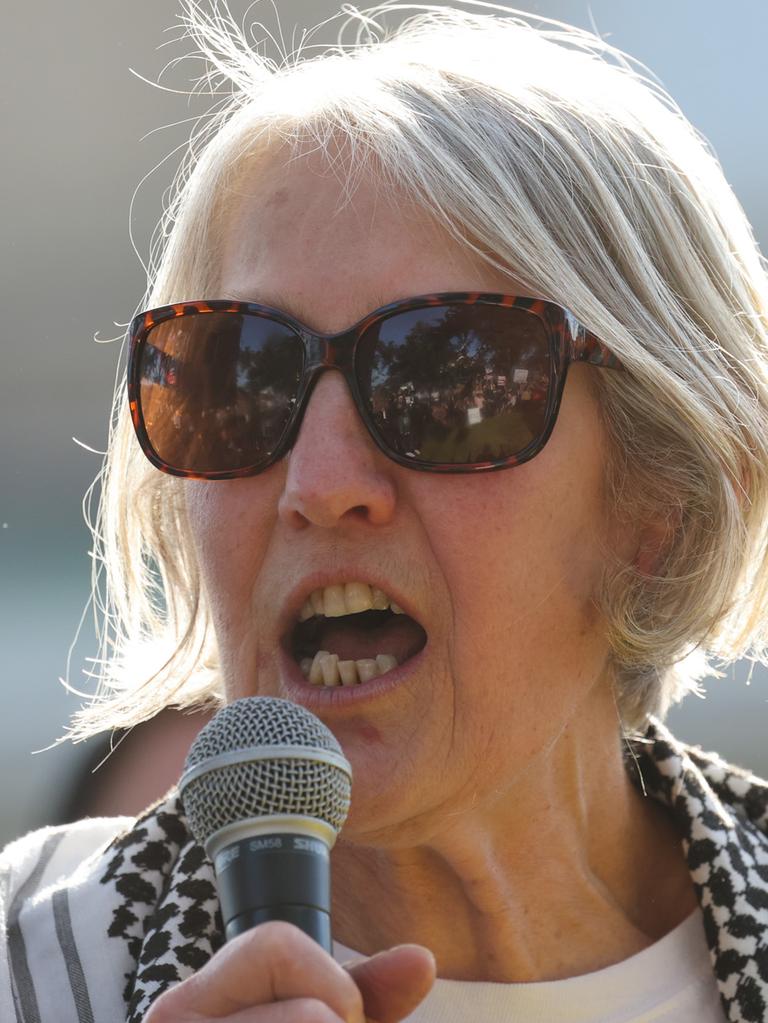 Councillor Sue Bolton at a pro-Palestine protest. Picture: Jason Edwards