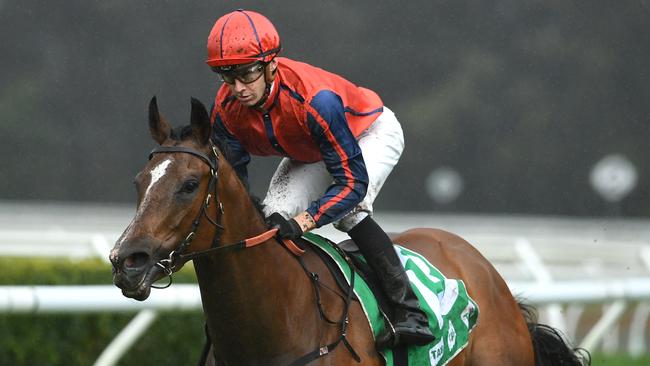 Miss Einstein is ready to peak third-up at Canterbury. Picture: AAP Image
