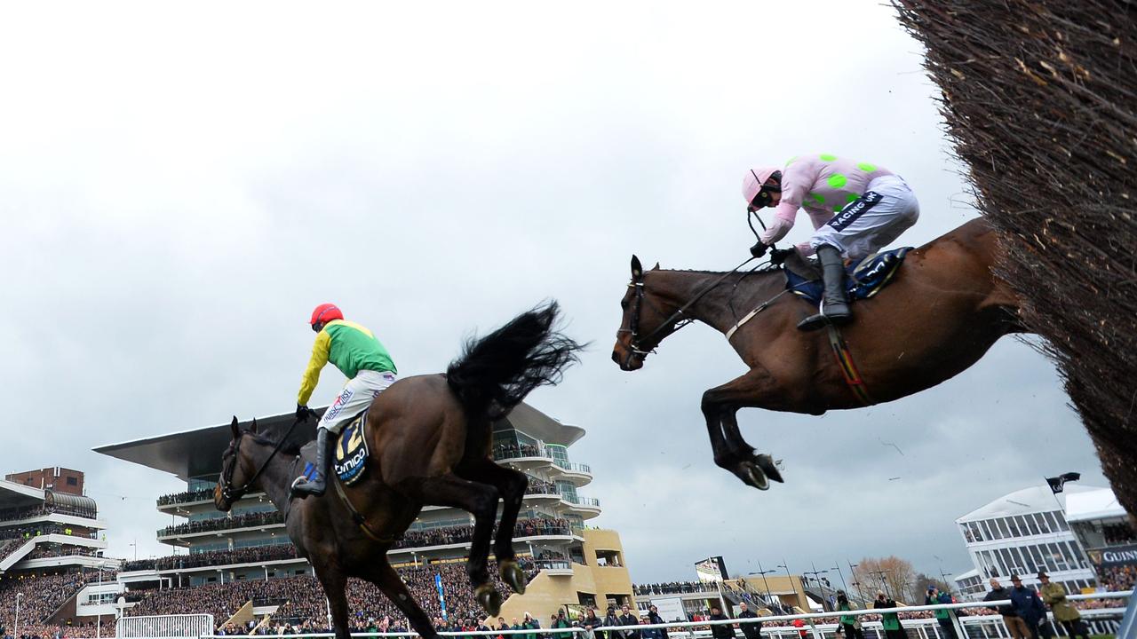 Coronavirus was already circulating in Britain when thousands attended the Cheltenham Festival.