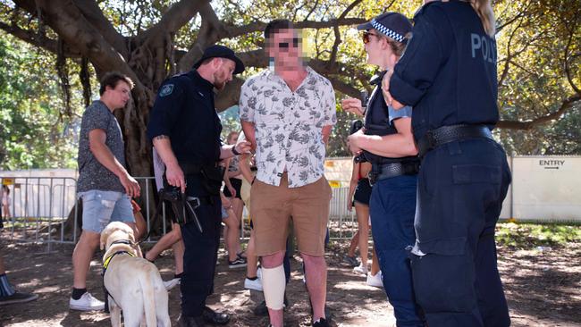 A man is detained by police at the Field Day festival in the Domain Sydney. Picture: Flavio Brancaleone