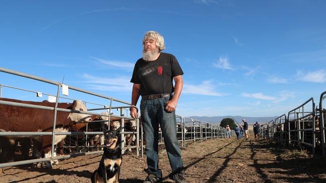 Warren Wise and his dog Sadie at the Hinnomunjie sale.