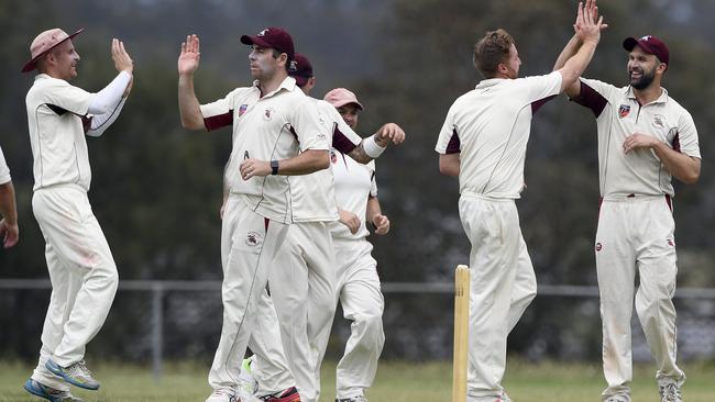 Rivergum players celebrate a wicket against Bundoora Park on Saturday. Picture:Andy Brownbill