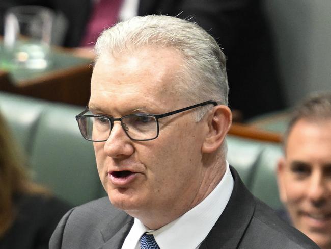 CANBERRA, AUSTRALIA  - NewsWire Photos - February 13, 2025:  Minister for Home Affairs and Minister for the Arts, Tony Burke during Question Time at Parliament House in Canberra. Picture: NewsWire / Martin Ollman