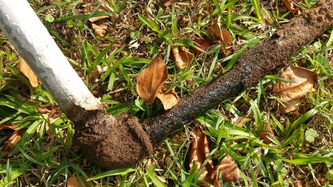 Wayne Bagnell's burst water pipe, which he said hadn't been replaced in over 60 years and cost him over $5,000 to replace. Picture: Wayne Bagnell.