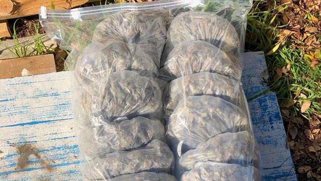 SA Police also seized 61kg of dried cannabis that was ready for sale. Picture: SA Police