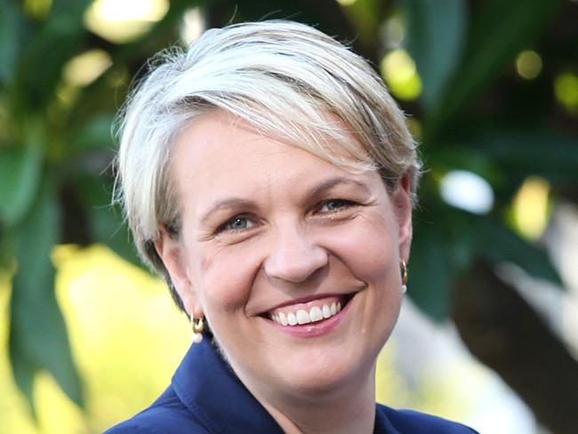 Deputy Opposition Leader Tanya Plibersek says the government has to be clear on its position regarding immigration.