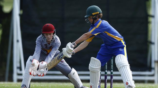 Simon Alderson batting for Belmont. Picture: Michael Gorton