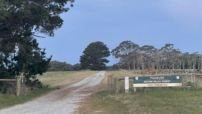 The man died during a logging accident near Second Valley. Picture: The Advertiser