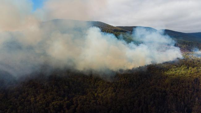 Bob Brown Foundation has called for an urgent immediate inquiry into a fire in the Styx Valley currently being attended to. Photo: Bob Brown Foundation