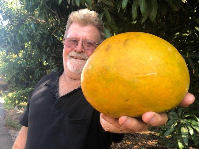 Steve Jenkins with his whopper 1.5kg mango. Picture: Supplied