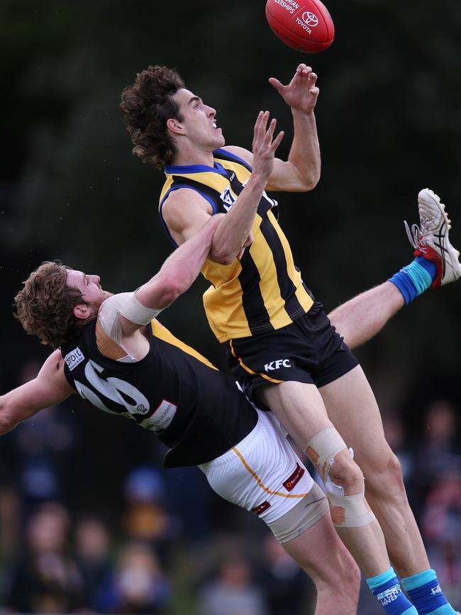 Max King soars for a contested mark in the VFL. Picture: Michael Klein.