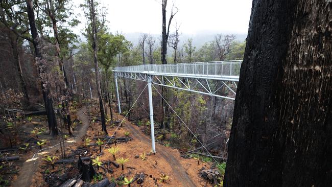 SUNTAS: Tahune Airwalk reopening. at Tahune, Geeveston.