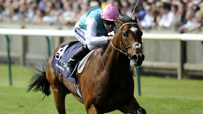 Frankel was unbeaten in his career and is now a super stallion. Picture: Getty Images