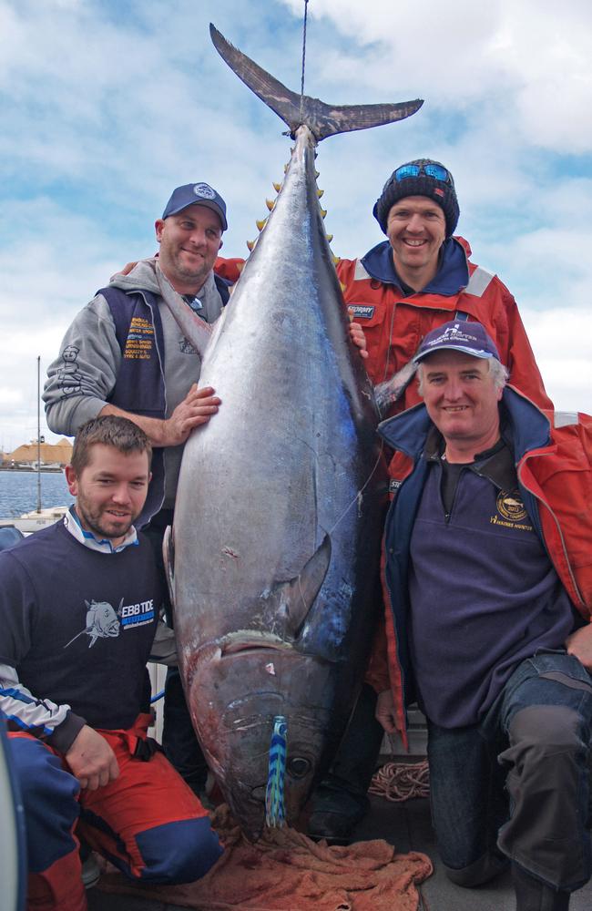 Victorian fishermen reel in monster 164.3kg tuna