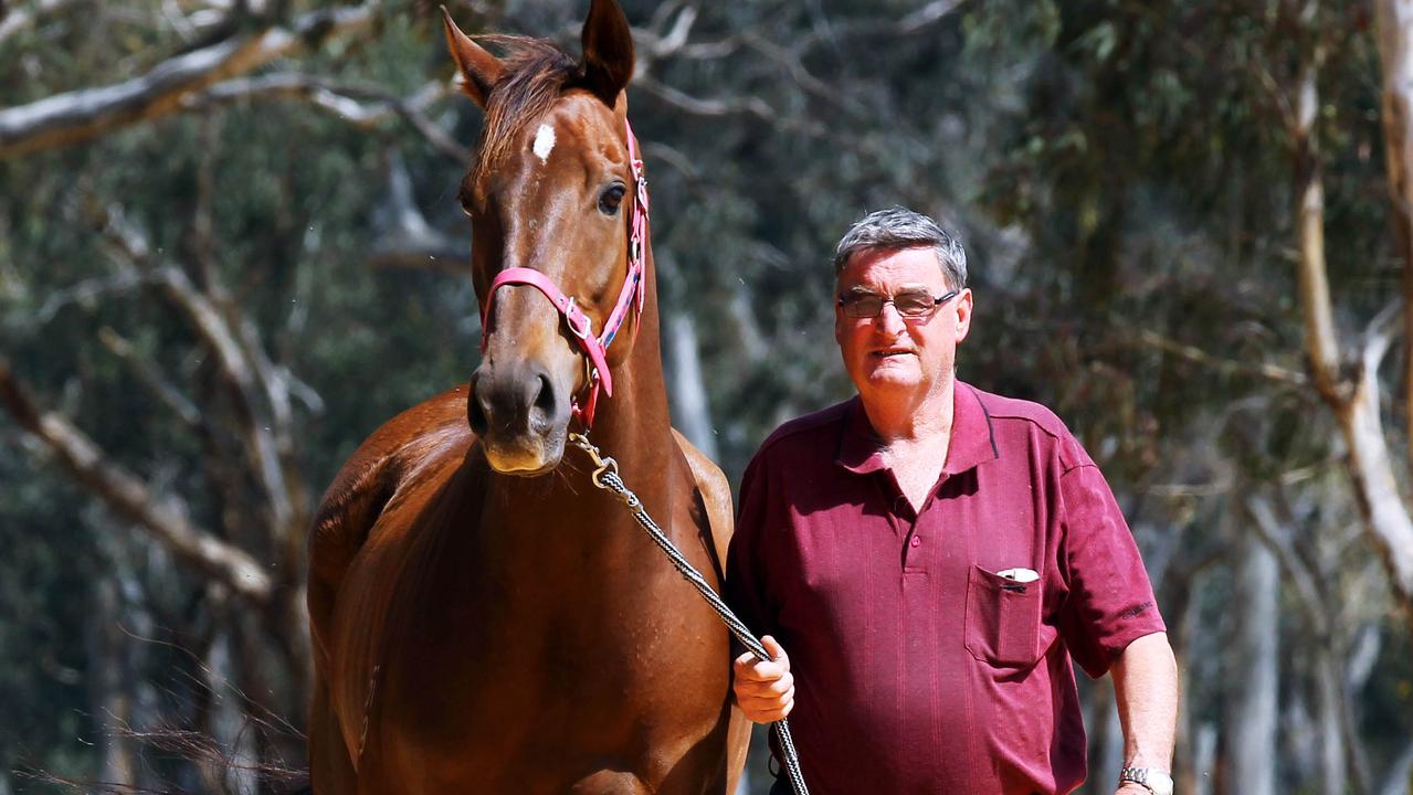 Co-trainers Terry and Karina O’Sullivan facing lengthy bans | Herald Sun