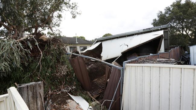 A large tree that fell on a house on Edmondson Ave, St Marys in October during a severe thunderstorm. Picture: Jonathan Ng