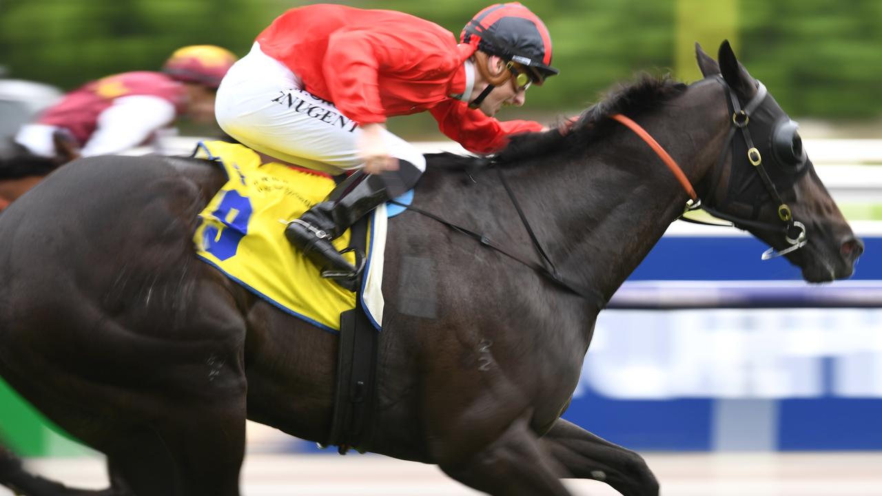 Galaxy Raider stormed home to win the HKJC Trophy at Flemington. Picture: AAP