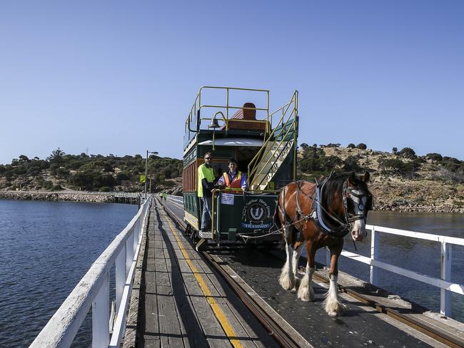 The horse and cart that crosses the Victor Harbor causeway to Granite Island. Picture: Mike Burton