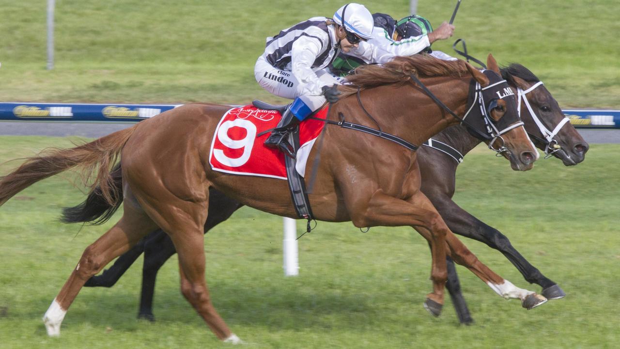 Track Talk preview for Morphettville, with Advertiser racing experts ...