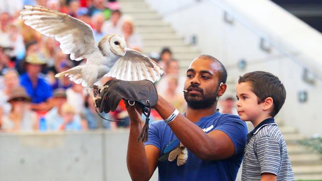 Ravi Wasan connects with a youngster in the crowd at his Sydney Royal Easter Show performance this year. Picture: Phil Rogers