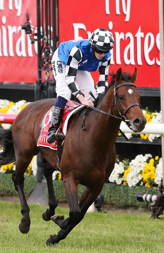 Ryan Moore on Protectionist wins the Melbourne Cup. Picture:Michael Dodge/Getty Images