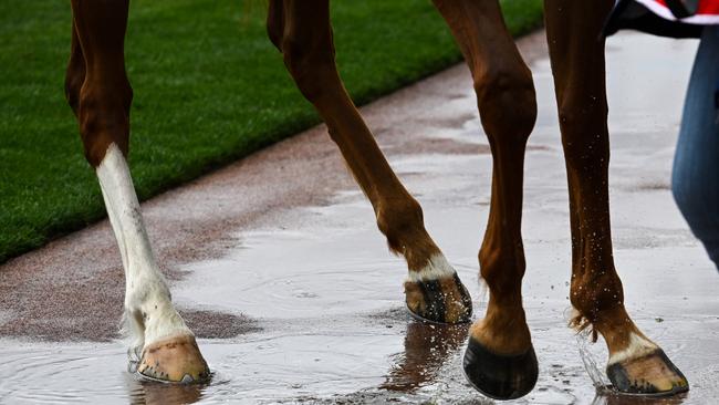 Rain has started falling at Flemington