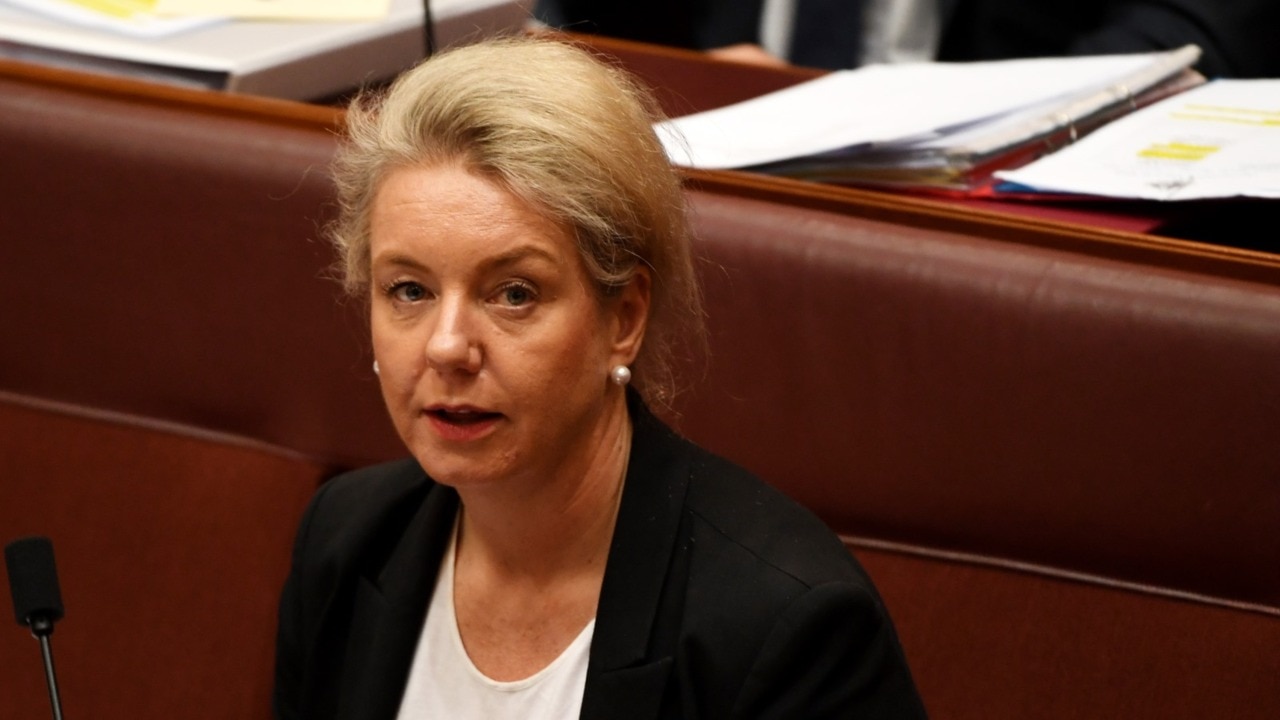 McKenzie would 'of course' be welcomed back to the frontbench