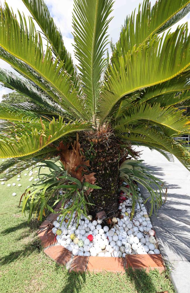 Resident Mick Cole has collected hundreds of rogue balls – storing them in his garden bed and as makeshift “gutter mulch”. Picture Glenn Hampson