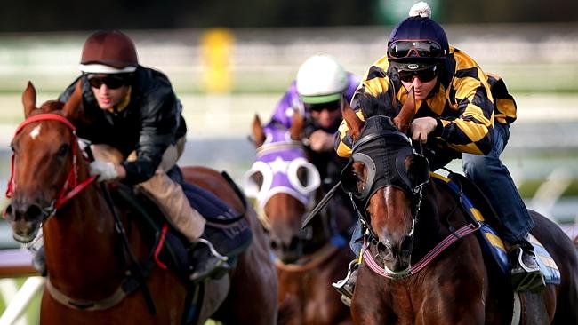 It’s A Dundeel (right) is second-up and runs into a fit Fiorente at Rosehill Gardens. Picture: Gregg Porteous