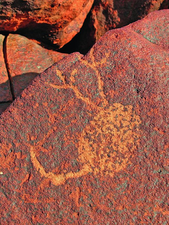 Aboriginal rock art depicting a waterbird, Burrup Peninsula. Picture: supplied